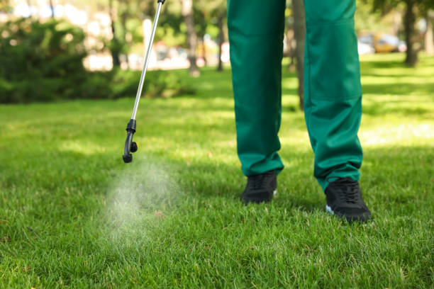 Best Pest Prevention Services  in North Conway, NH