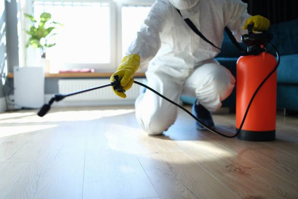 Professional Pest Control in North Conway, NH