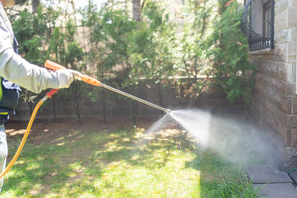 Wildlife Control Services in North Conway, NH