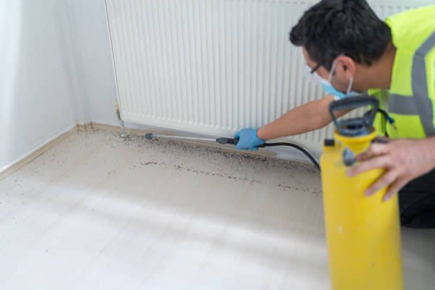 Best Pest Inspection Near Me  in North Conway, NH
